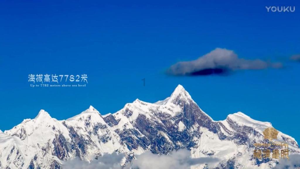 巫师之徒